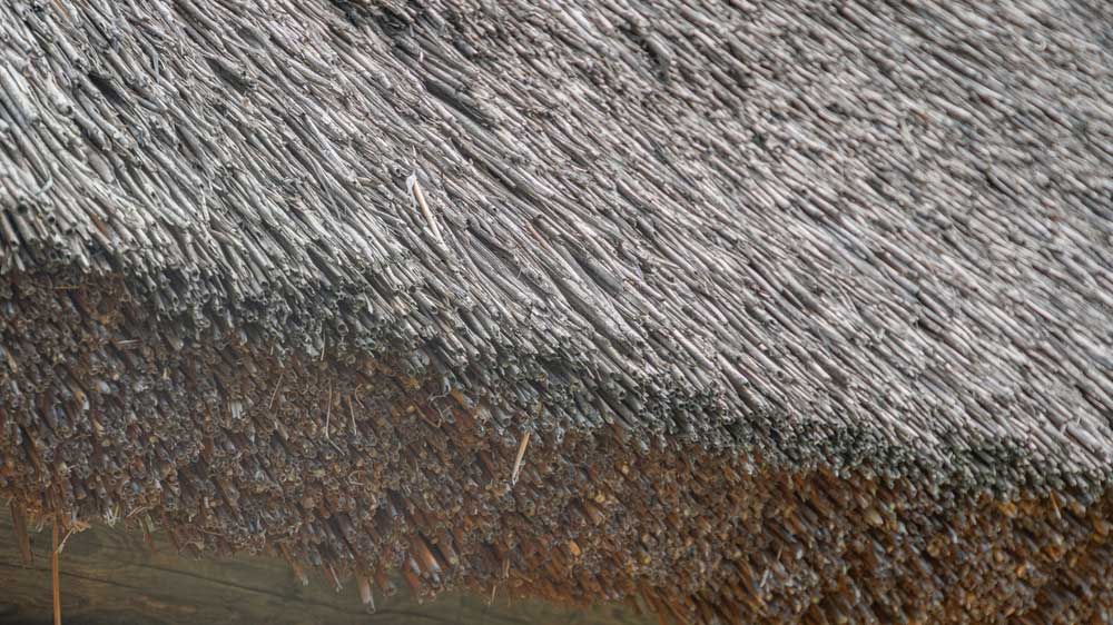 nádtetőfedés, nádtető készítés