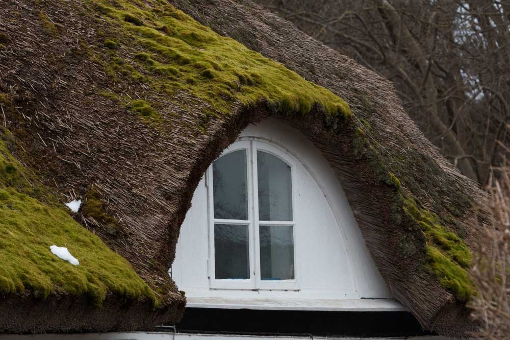 nádtető javítás, nádtető karbantartás