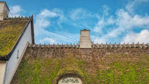 nádtető készítés, nádtető építés