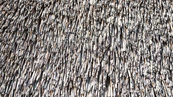 nádtető készítés, nádtető építés